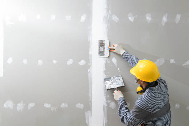 Best Mold Odor Removal Services  in Mbria, CA