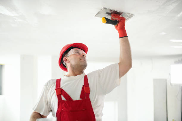 Best Real Estate Mold Inspection  in Mbria, CA