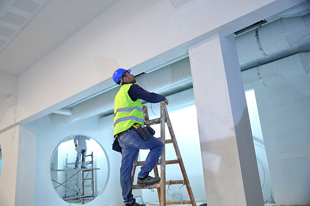 Professional Mold Removal in Cambria, CA